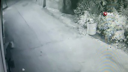 Bursalıların kâbusu olmuştu! Daha fazla kaçamadı