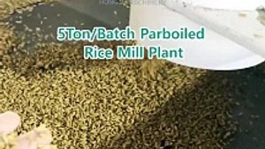 Paddy Parboiling Machine Supplier #ricemillsupplier  #boiledricemillplant #ricemill