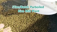 Paddy Parboiling Machine Supplier #ricemillsupplier  #boiledricemillplant #ricemill