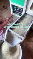 New Design 20T/D Rice Processing Machine in Ghana - Hongjia Rice Mill #ricemill #autoricemill