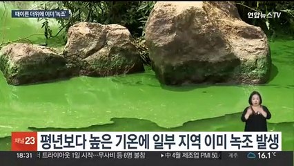 때 이른 더위에 벌써 녹조가…오염원 집중관리