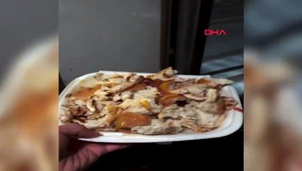 Her gün kendisini besleyen makinisti gören köpek trenin yanında böyle koştu