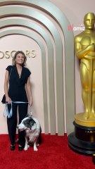 Messi, le chien d’« Anatomie d’une chute » : il devient journaliste au Festival de Cannes