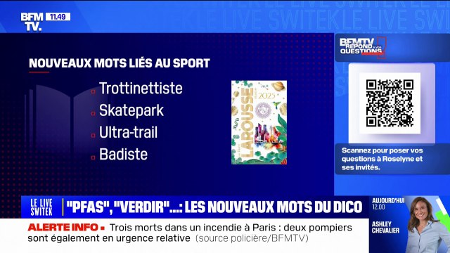 Cyberattaque , platiste , PFAS ... Quels sont les nouveaux mots du dictionnaire?