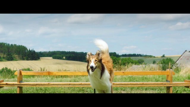 Lassie : La route de l'aventure Bande-annonce (EN)