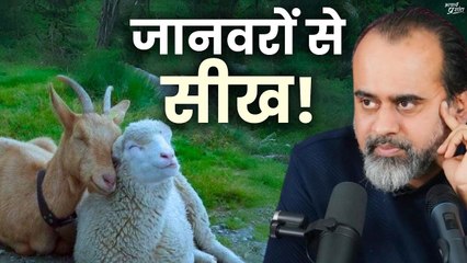 क्या जानवरों से भी कुछ सीखा जा सकता है? || आचार्य प्रशांत (2020)