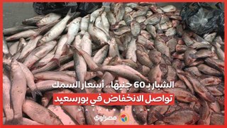 الشبار بـ 60 جنيهًا.. أسعار السمك تواصل الانخفاض في بورسعيد
