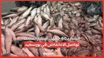الشبار بـ 60 جنيهًا.. أسعار السمك تواصل الانخفاض في بورسعيد