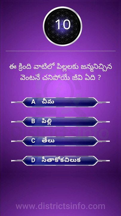 Interesting Questions Telugu