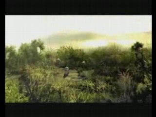 S.T.A.L.K.E.R. vs S.O.A.D. - Toxicity