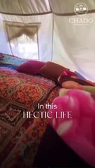 Digitally Yours - Chado Client