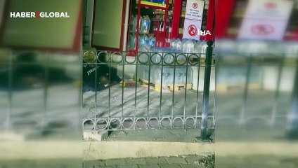 Artvin'de devasa yılan markete girerken görüldü, sonrası ise şoke etti!