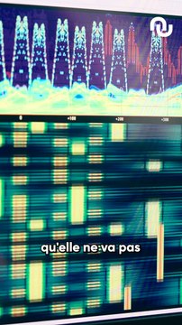 Comment fabrique-t-on une souris d’ordinateur ?