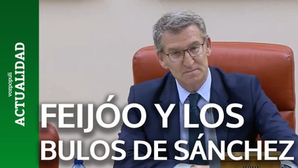 Feijóo, sobre Sánchez: "Pide luchar contra los bulos y los difunde una y otra vez"