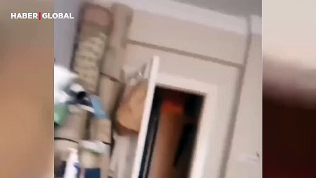 Dondurma yerken konuşan kedi izlenme rekoru kırdı: ''Nam nam nam"