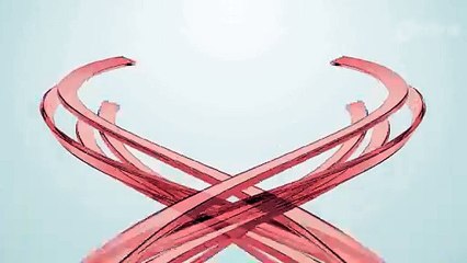 Polícia apreende 114 galões de azeite contrabandeados no norte do PR