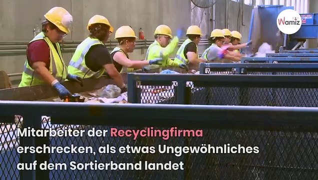 Kurioser Fund in Altkleider-Container: Wer nur wirft so etwas weg?