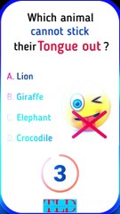 Fascinating Animal Facts #generalknowledge #facts #shorts