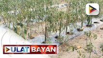 South Cotabato, isinailalim sa state of calamity dahil sa El Niño; pinasala ng matinding init...
