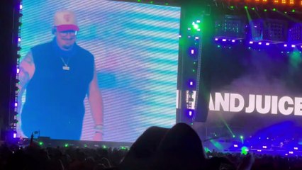 HARDY Full Set - Stagecoach 2024