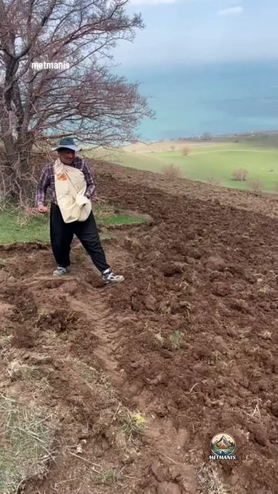 Dengbej Eşliğinde Yonca Ekimi _ Gevaş