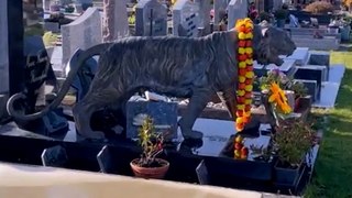 Pourquoi y a-t-il un tigre au cimetière de Dinard ?