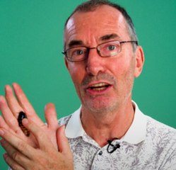 Décriées, les blattes pourraient être les médicaments de demain