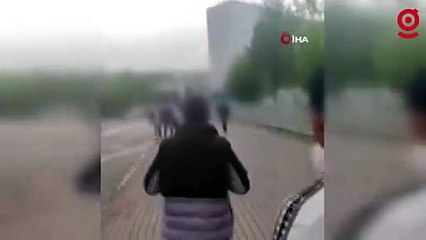 Yolda yürüyenleri önce korkuttular, sonra saldırdılar