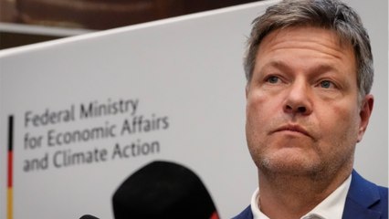 Wer ist Robert Habeck? (1)