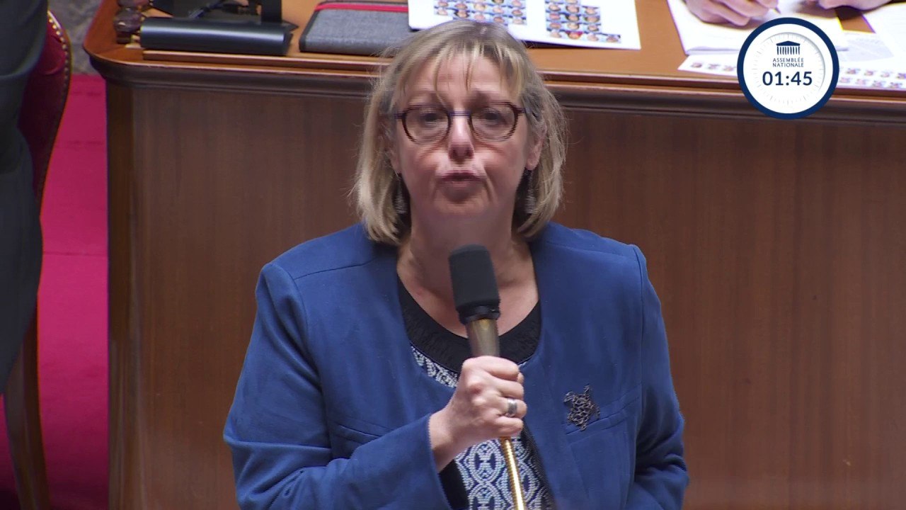 Manifestations d'étudiants pro-Palestine: pour Sylvie Retailleau, "certains irresponsables soufflent sur les braises (..) en appelant au soulèvement"