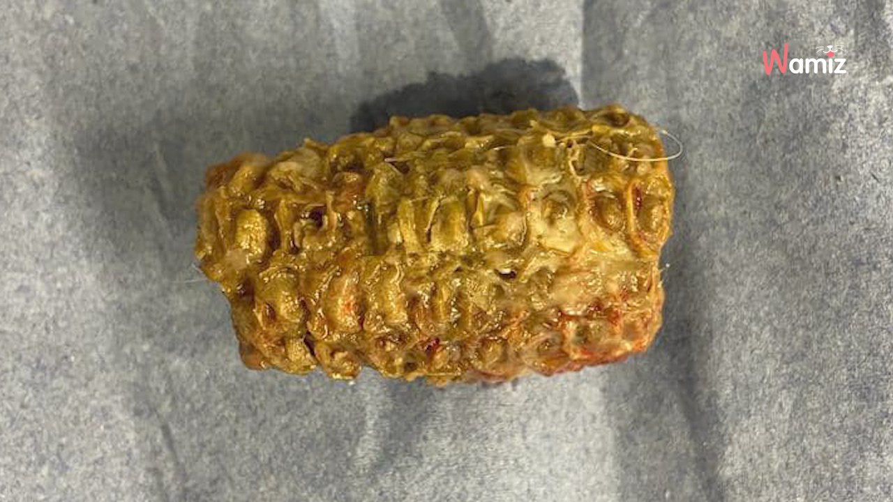 Son chien a failli mourir à cause d’un épi de maïs : le cabinet vétérinaire alerte les propriétaires