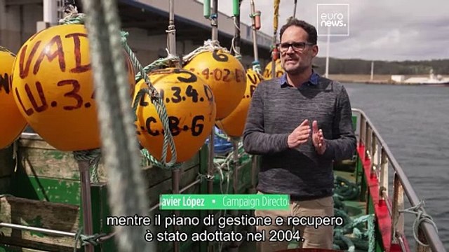 Quali sono le misure dell'Ue per garantire una pesca sostenibile?
