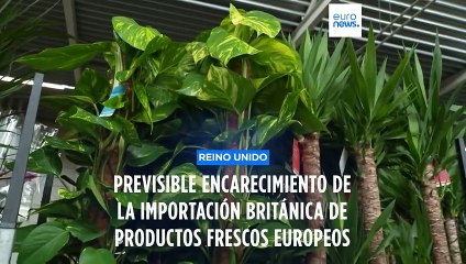 Alertan del previsible encarecimiento de importaciones británicas desde la UE ante nuevos controles