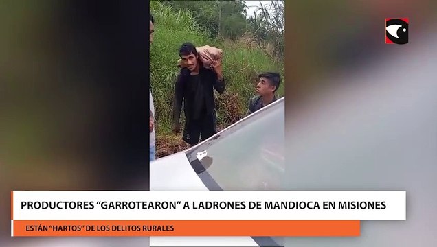 Productores “garrotearon” a ladrones de mandioca en Misiones