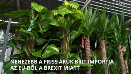 Új Importszabályok: Nehezebb az európai friss áruk brit behozatala 🇪🇺🇬🇧
