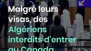 Malgré leurs visas, des Algériens interdits d'entrer au Canada