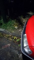 El operativo para detener al mayor pedófilo de Argentina