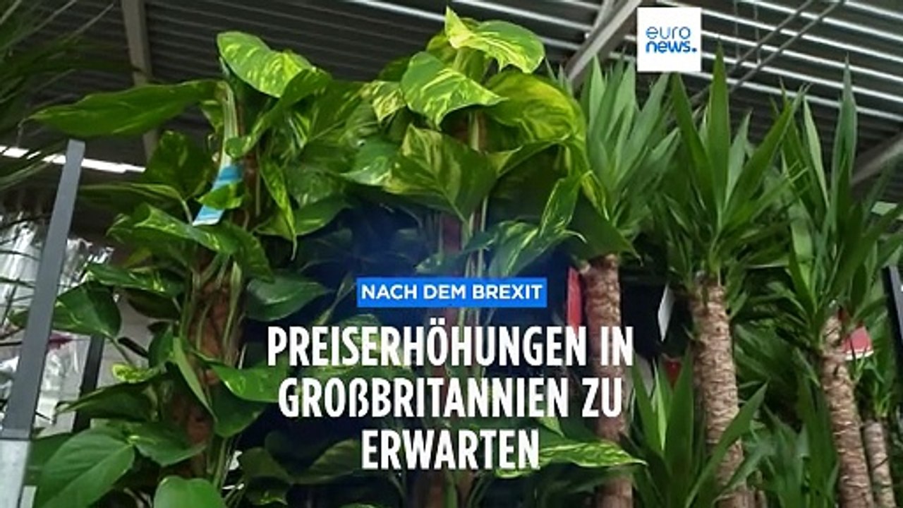 Nach dem Brexit: Preiserhöhungen in Großbritannien zu erwarten
