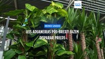 Leis aduaneiras pós-Brexit fazem disparar preços, alertam comerciantes