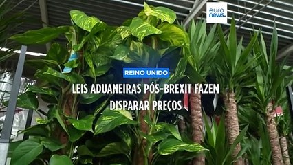 Leis aduaneiras pós-Brexit fazem disparar preços, alertam comerciantes