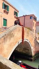 Rapunzel's Long Hair Wonder ✨ - thumbnail