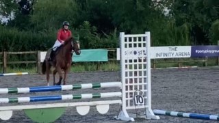 Over-achieving horse forgets that he hasn't unlocked the ability to fly