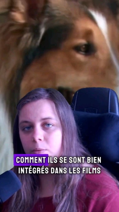 l'intégration des animaux dans les films