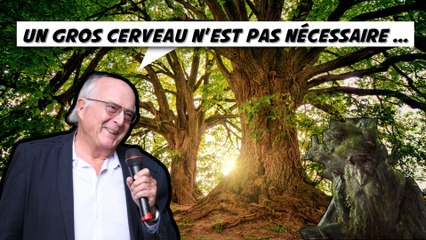 3 preuves fascinantes de l'intelligence des plantes - F.Hallé