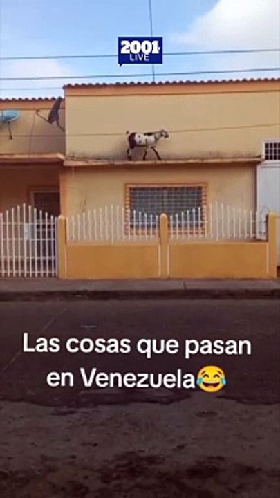 ¡Sin miedo a nada! 