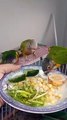 Pineapple and Green Cheeked Conure