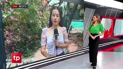 ​Un árbol cae en un colegio y provoca heridas en una estudiante y una maestra