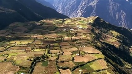 Documental: La Historia del Mundo y la Supervivencia 🧬