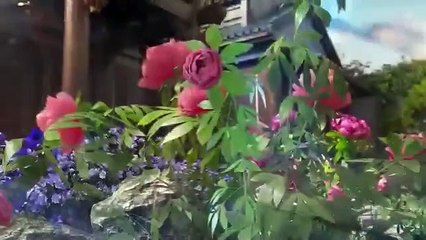 (Ep8) 少年たちのグレートジャーニ Ep 8 Sub Indo (Great Journey of Teenagers 3rd Season) (किशोरों की महान यात्रा तीसरा सीज़न) (การเดินทางอันยิ่งใหญ่ของวัยรุ่น)(A Grande Jornada dos Adolescentes)