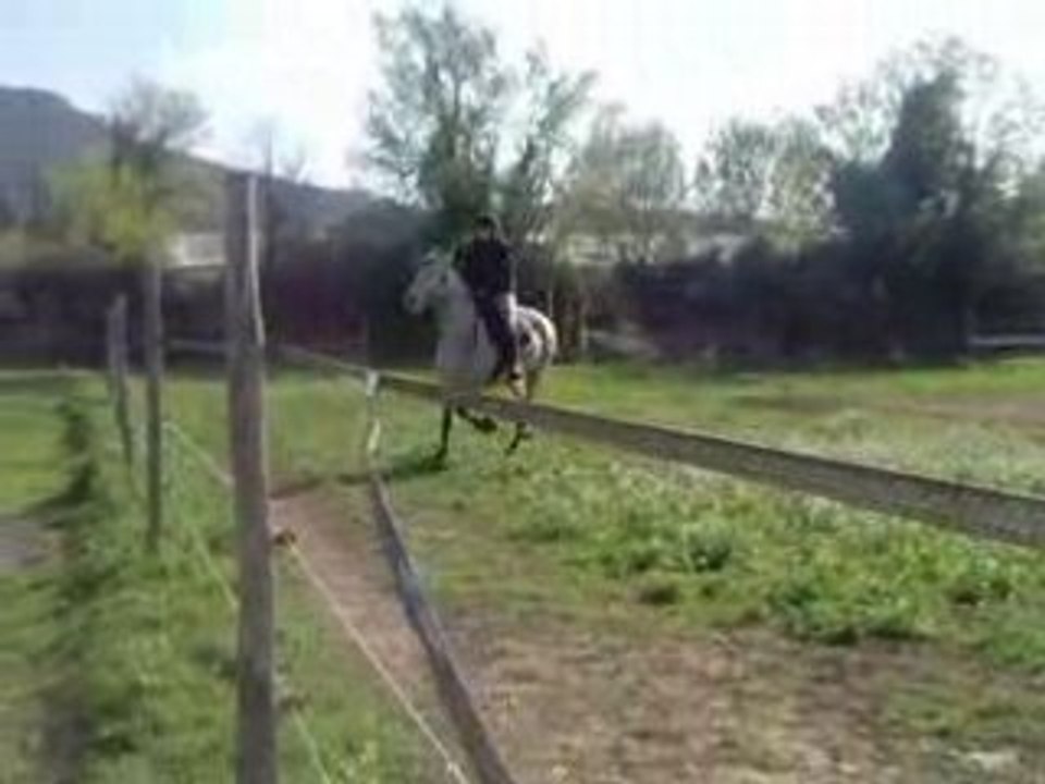 thomas et paloma